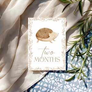 Bébé 12 Cartes Jalon | Cadeau pour bébé sans distinction de sexe | Ensemble imprimé | Accessoires photo mensuels | Du nouveau-né à 1 an | Cadeau baby shower | Le tremble