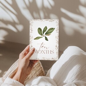 Cartes bébé étape importante | Cadeau pour bébé garçon ou fille | Ensemble imprimé | 12 accessoires photo mensuels | Du nouveau-né à 1 an | Cadeau baby shower | Le saule