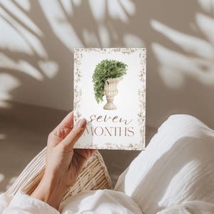 Cartes bébé étape importante | Cadeau pour bébé garçon ou fille | Ensemble imprimé | 12 accessoires photo mensuels | Du nouveau-né à 1 an | Cadeau baby shower | Le saule