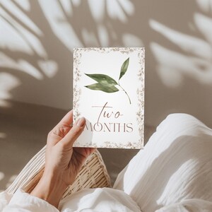 Cartes bébé étape importante | Cadeau pour bébé garçon ou fille | Ensemble imprimé | 12 accessoires photo mensuels | Du nouveau-né à 1 an | Cadeau baby shower | Le saule
