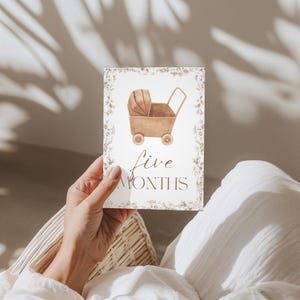 Cartes bébé étape importante | Cadeau pour bébé garçon ou fille | Ensemble imprimé | 12 accessoires photo mensuels | Du nouveau-né à 1 an | Cadeau baby shower | Le saule