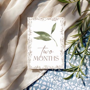 Cartes bébé étape importante | Cadeau pour bébé garçon ou fille | Ensemble imprimé | 12 accessoires photo mensuels | Du nouveau-né à 1 an | Cadeau baby shower | Le saule