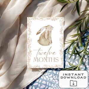 Cartes bébé étape importante | Téléchargement numérique | Imprimable | 12 accessoires photo mensuels | Souvenir de première année | Cadeau baby shower | Le tremble