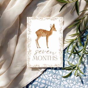 Bébé 12 Cartes Jalon | Cadeau pour bébé sans distinction de sexe | Ensemble imprimé | Accessoires photo mensuels | Du nouveau-né à 1 an | Cadeau baby shower | Le tremble