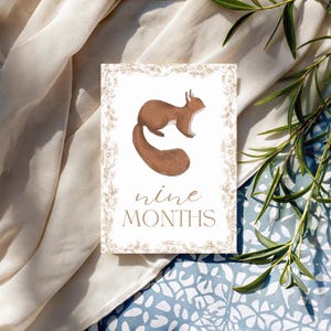 Bébé 12 Cartes Jalon | Cadeau pour bébé sans distinction de sexe | Ensemble imprimé | Accessoires photo mensuels | Du nouveau-né à 1 an | Cadeau baby shower | Le tremble