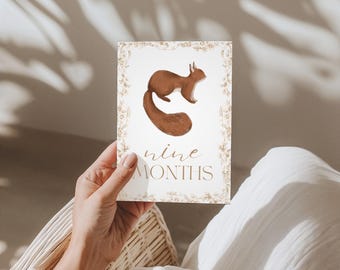 Baby 12 Milestone Cards | Gender Neutral Baby Gift | Printed Set | Monthly Photo Props | Newborn to 1 Year | Baby Shower Gift | The Aspen