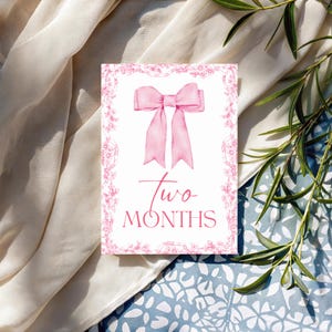 Cartes jalons bébé fille | Ensemble imprimé | 12 accessoires photo mensuels | Souvenir de première année | Du nouveau-né à 1 an | Cadeau baby shower | La Françoise