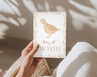 Baby 12 Milestone Cards | Gender Neutral Baby Gift | Printed Set | Monthly Photo Props | Newborn to 1 Year | Baby Shower Gift | The Aspen