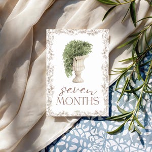 Cartes bébé étape importante | Cadeau pour bébé garçon ou fille | Ensemble imprimé | 12 accessoires photo mensuels | Du nouveau-né à 1 an | Cadeau baby shower | Le saule