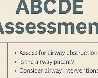 Nursing Assessment Bundle: SAMPLE, ABCDE, Clinical Judgment Worksheets (Digital Download)