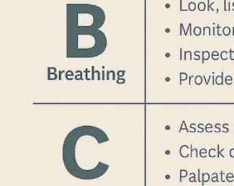 ABCDE Assessment Poster: Nursing Student Guide (Printable & Digital)