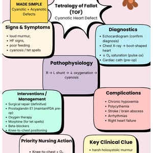 Mapas conceptuales cardíacos pediátricos / Defectos cianóticos y acianóticos (Descarga en PDF)