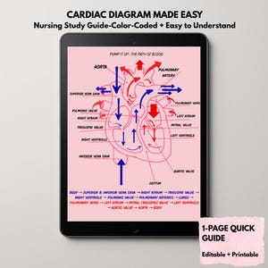 Diagrama de anatomía cardíaca para estudiantes de enfermería / Guía de estudio del corazón con código de colores / Hoja de referencia rápida de enfermería en PDF