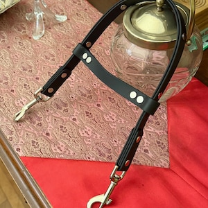 Biothane guide handle