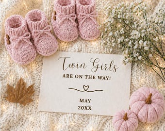 Twin Girl Fall Pregnancy Announcement Template, Autumn Social Media Pink Baby Reveal Canva
