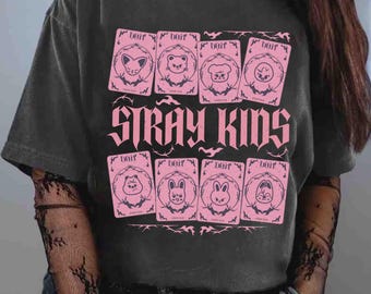Streunende Kinder Do It Album Shirt, Streunende Kinder Skzoo Shirt, Retro Skz World Tour 2025 Shirt, Do It Tracklist Shirt, Domiate Tour Shirt