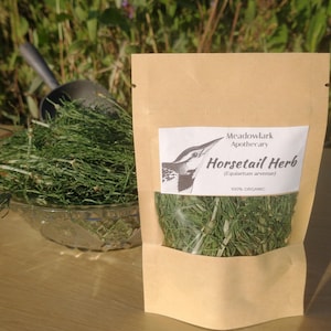 Dried Horsetail Herb, Shavegrass, Equisetum arvense, Handpicked, Organic, Wildcrafted
