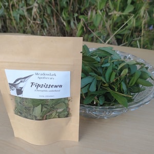 Pipsissewa whole leaf herb, dried, 100% organic, Chimaphila umbellata.