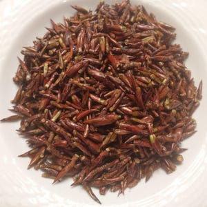 May include: A white plate filled with a large pile of small, reddish-brown, dried chili peppers. The peppers have a slightly elongated shape and are densely packed together, creating a textured appearance. The plate has a simple, elegant design.