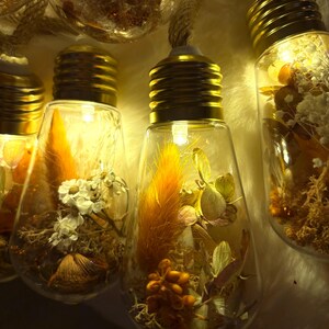 Może przedstawiać: Ozdobne żarówki wypełnione suszonymi kwiatami i liśćmi. Żarówki mają złote podstawy i są zawieszone na sznurze. Wnętrze żarówek jest podświetlone, tworząc ciepłą poświatę. Żarówki są wypełnione odcieniami żółtego, pomarańczowego i białego.