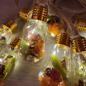 May include: String of decorative light bulbs with gold-colored bases and clear glass. Each bulb contains dried flowers, moss, and fairy lights. The bulbs are strung on a natural rope, creating a warm, inviting glow.