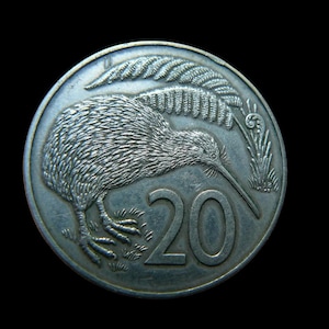 Moneta da 20 centesimi della Nuova Zelanda. Uccello kiwi. Regina Elisabetta 1989