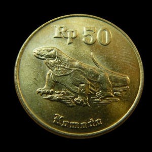 Vintage Coin ndonesia 50 Rupiah Komodo Dragon 1996