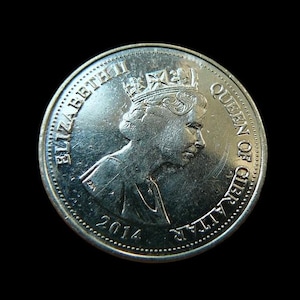 Coin Gibraltar Flower 5 pence