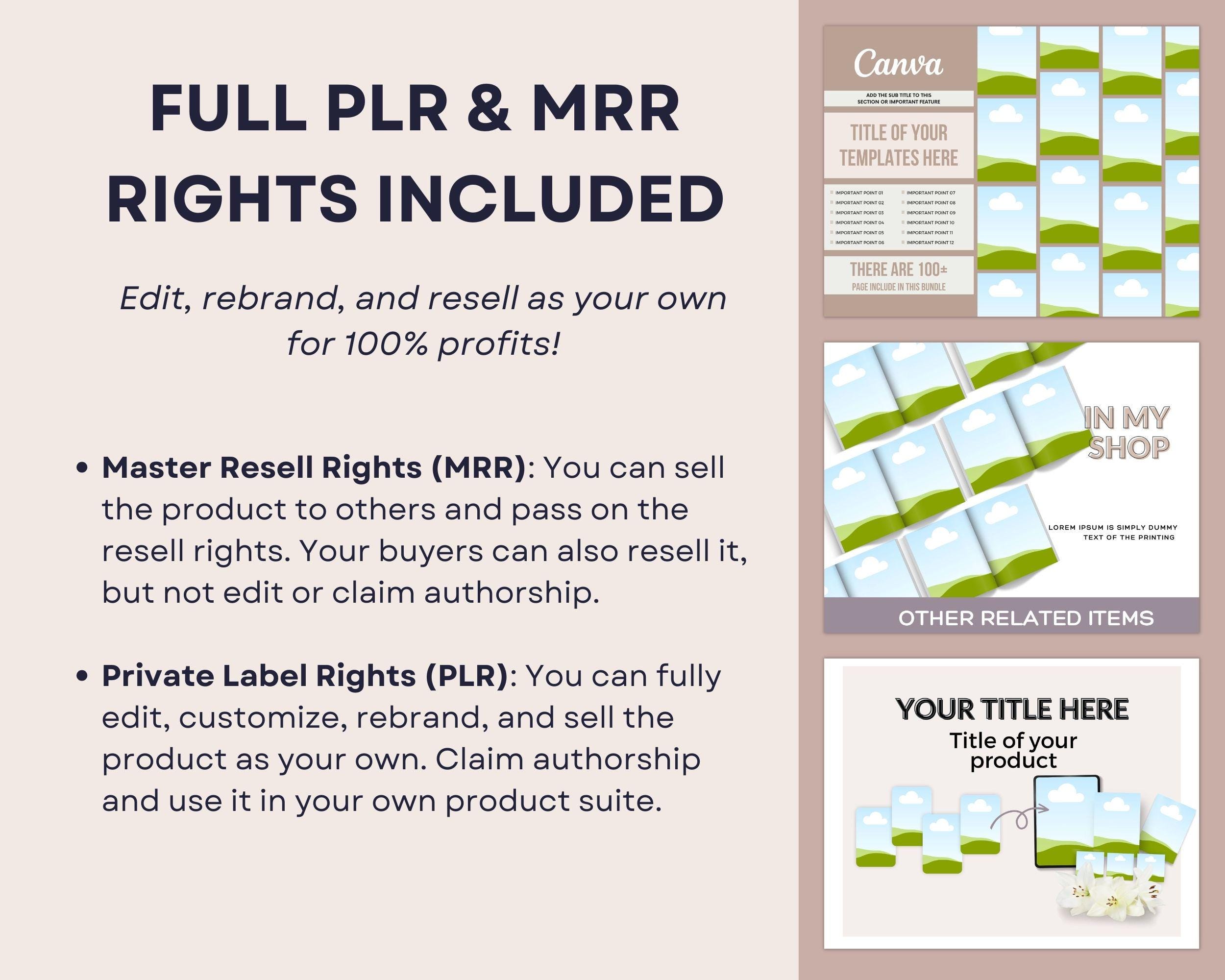 120 Canva Product Mockup Templates for Coaches & Course Creators, Etsy ...
