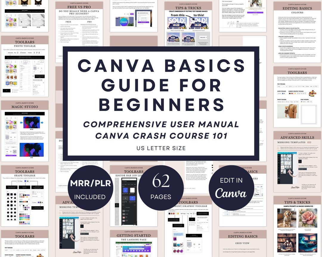 Canva Basics Guide for Beginners PLR, 60+ Page Canva Crash Course PDF ...