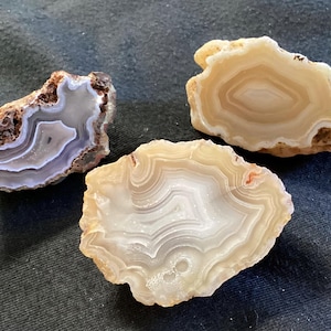May include: Three polished agate slices with distinct concentric banding. One slice features shades of grey, white, and dark brown, while the other two display translucent cream, beige, and light tan layers with rough, textured outer edges.