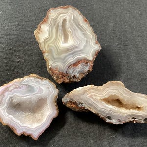 May include: Three polished agate slices featuring concentric white and translucent grey banding with central crystalline geode cavities. The stones exhibit rough, earthy brown outer edges and smooth, polished faces with subtle pinkish hues.