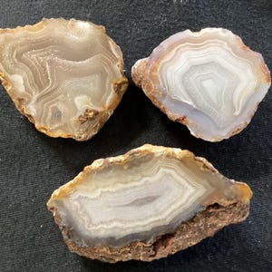 Puede incluir: Tres rodajas de ágata pulidas con bandas concéntricas en blanco, gris y bronceado translúcido. Cada piedra muestra una forma irregular única con un borde exterior rugoso y texturizado y una superficie interior lisa y cristalina.