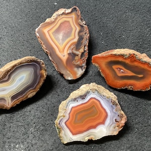 Op de afbeelding: Vier gepolijste agaatplakken met natuurlijke bandpatronen. De stenen vertonen gevarieerde kleuren, waaronder tinten oranje, roest, wit, grijs en bruin. Elke plak heeft een ruwe, getextureerde buitenrand rondom een glad, doorschijnend centrum.