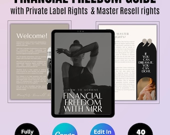 Financial Freedom PLR Ebook: Beginner's Guide to Wealth & Passive Income (PDF Download)