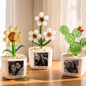 Personalized Photo Glass Flower Pot, Back To School Gift for Best Friend, Custom Dorm Desk Decor, Roommate Friendship Gift