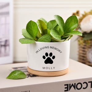 Personalized Dog Memorial Gift Planter,Pet Memorial Gift Plant Pot,Loss of Dog,Custom Flower Pot with Bamboo Tray,pet memorial gift
