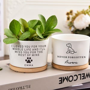 pet memorial planter, Custom Flower Pot, personalized gift flower pot,Pet Memorial Gift Plant Pot,loss of cat,never forgotten,dog memorial
