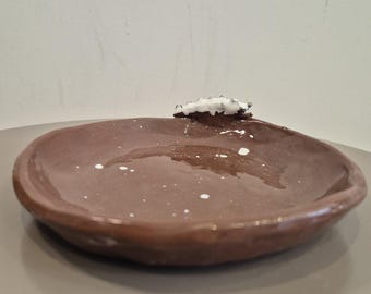 Piatto del giovane creatore