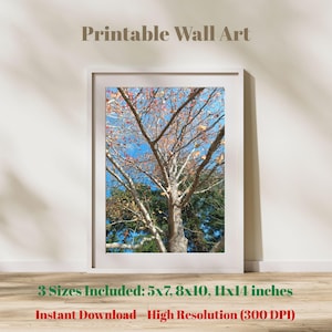 Printable Forest Wall Art, Nature Photography Digital Print, Instant Download, 3 Sizes Included