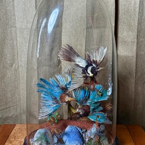Antique taxidermy parrot - Etsy 日本