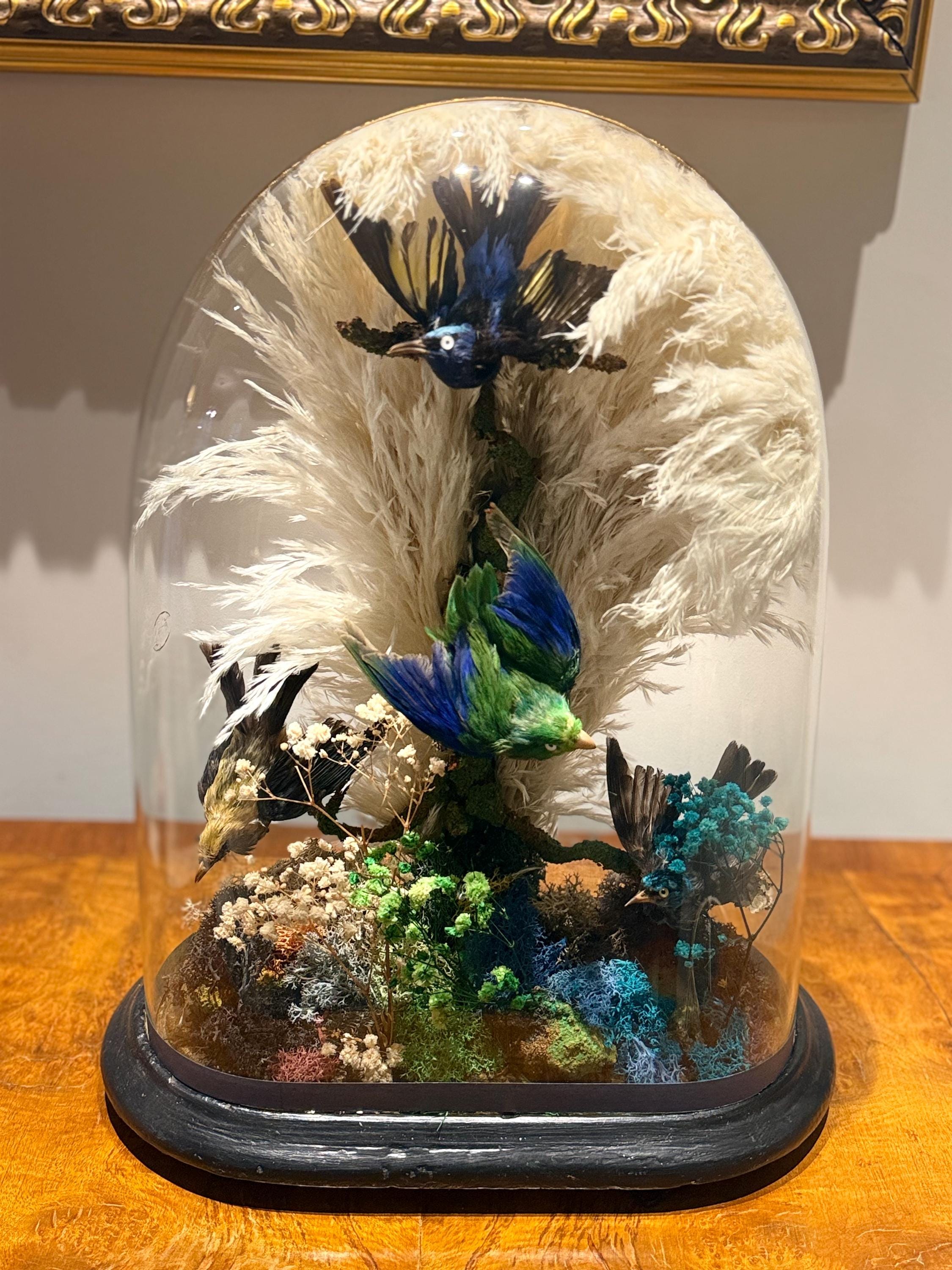 Taxidermy hummingbirds - Etsy 日本