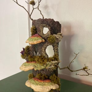 Hongos, musgo, tronco, cristales.