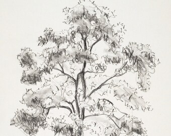tree on location #38  // original drawing