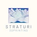 Straturi3d store logo