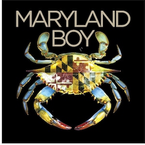 Maryland Boy Youth Short Sleeve Tee, Fun Crab Design, Kids T-Shirt, Children&#39;s Top, Coastal Summer Shirt, Ocean Theme Apparel