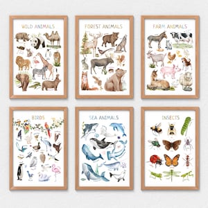 6 Educational Animal Posters, Insects Poster, Farm Animals, Wild Animals, Ocean Animals, Birds Posters, Forest Animals, Montessori Materials