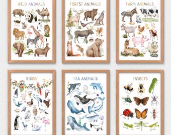May include: Six framed animal posters. The posters are labeled "Wild Animals", "Forest Animals", "Farm Animals", "Birds", "Sea Animals", and "Insects". Each poster features watercolor illustrations of various animals, with a light wood frame.