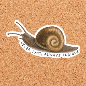 May include: A die-cut sticker featuring a brown snail with a spiral shell. The snail is depicted in a side profile view with two long antennae. Below the snail, the text "NEVER FAST, ALWAYS FURIOUS" is printed in black capital letters.