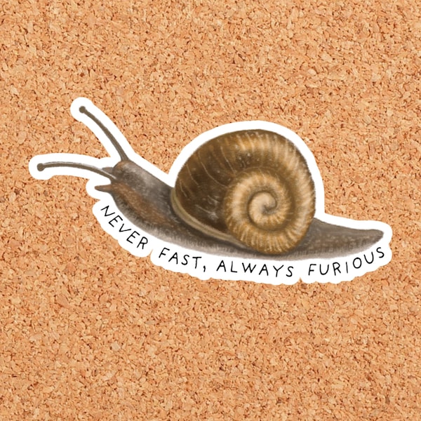 Never Fast Always Furious Snail Vinyl Sticker, Waterproof, Laptop Decal, Journaling, Funny Sticker, Gift